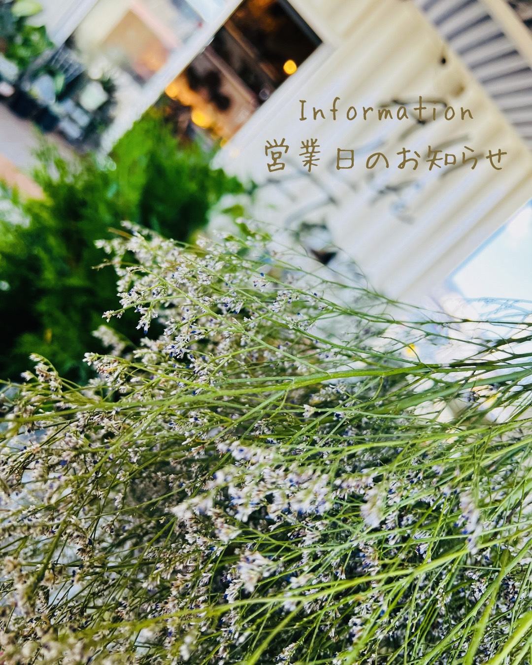 【大切なお知らせ】2026年1月より営業日を変更いたします